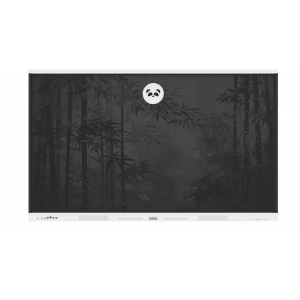 Monitor interaktywny myBoard Panda 65”